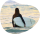 surfer_header